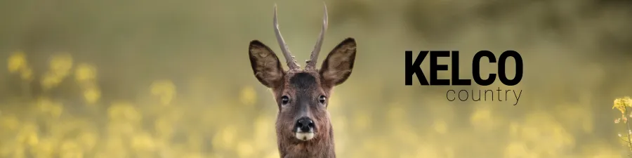 Outfitting The Outdoors