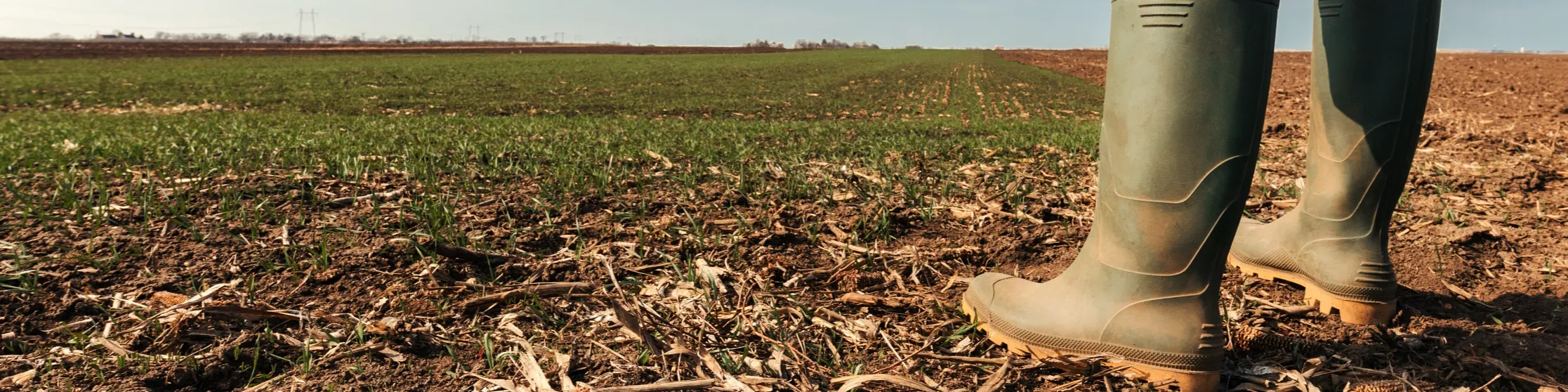 Welly Force - PVC Boots